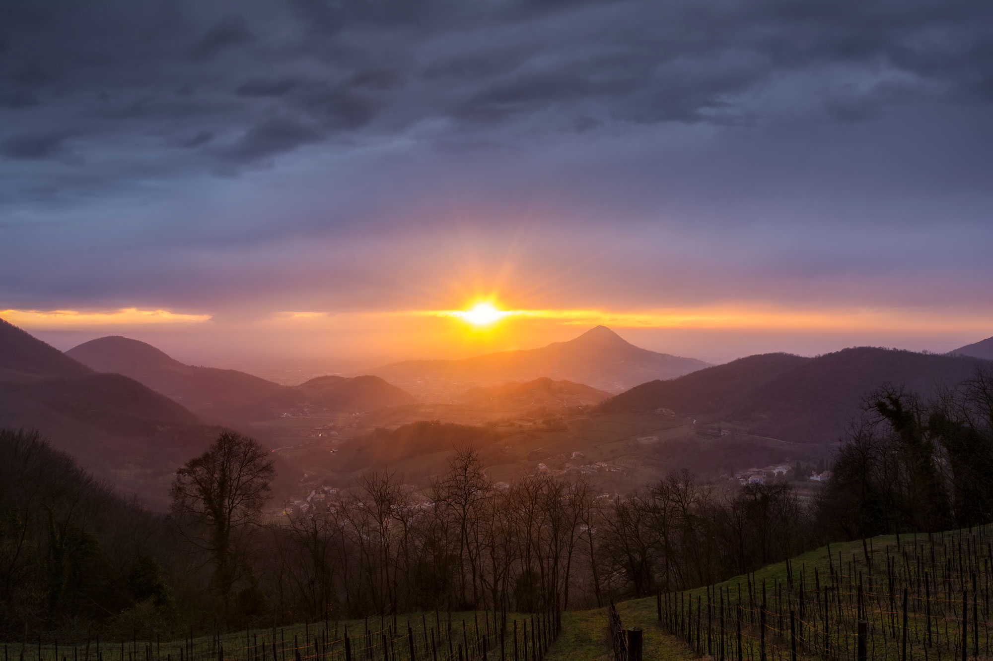 Riccardo Zimmitti foto Colli Euganei