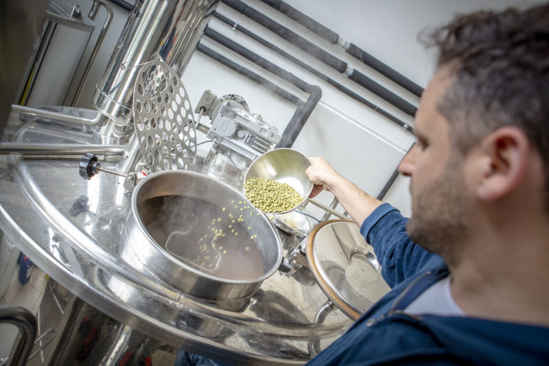 luppolo in bollitura luppolatura