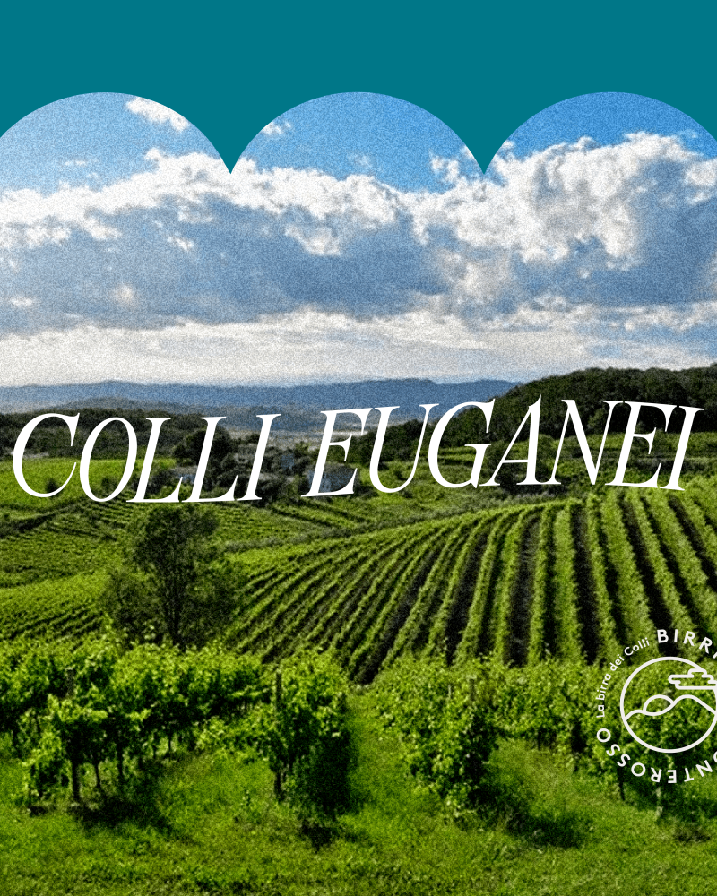 birre linea colli euganei
