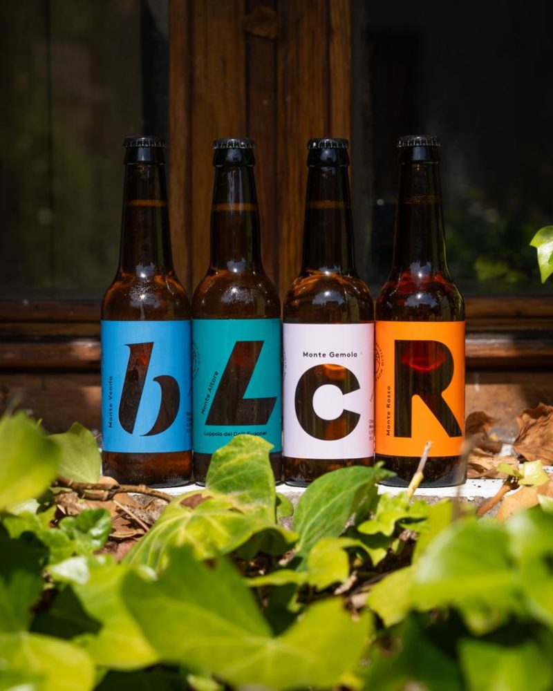 WhatsApp Image 2023-08-05 at 08.35.49