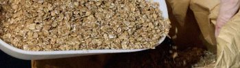 Birrificio Monterosso produzione